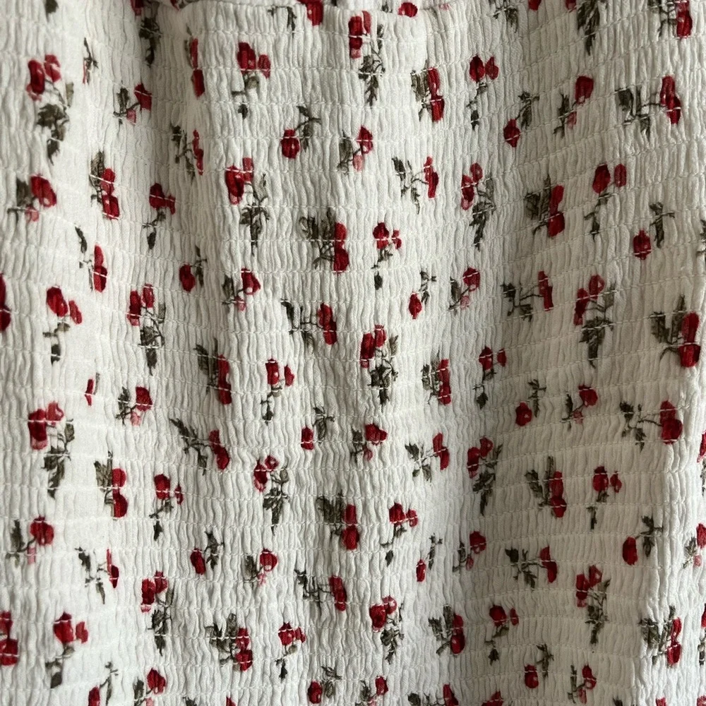 Abercrombie&Fitch fitted cherry dress size Medium - Picture 3 of 4